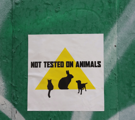 Kosmetyki nie testowane na zwierzętach